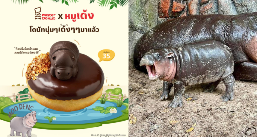 又要掀起迷因旋風！泰國 Mister Donut 推出「彈跳豬」造型甜甜圈